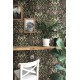 12329 | FIORI COUNTRY